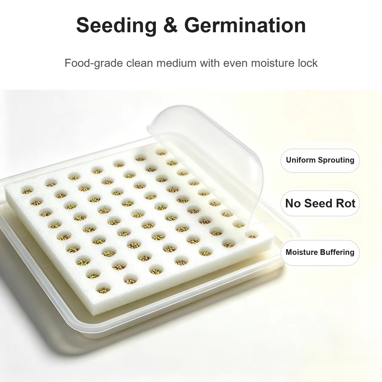 Seeding and germination - food-grade clean medium