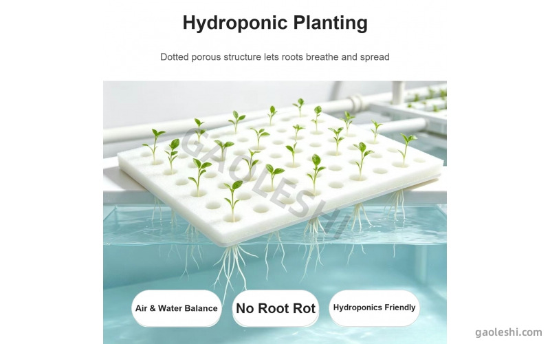 Hydroponic Grow Foam Manufacturer - Food-Grade Soilless Seedling Sponge Plug Tray